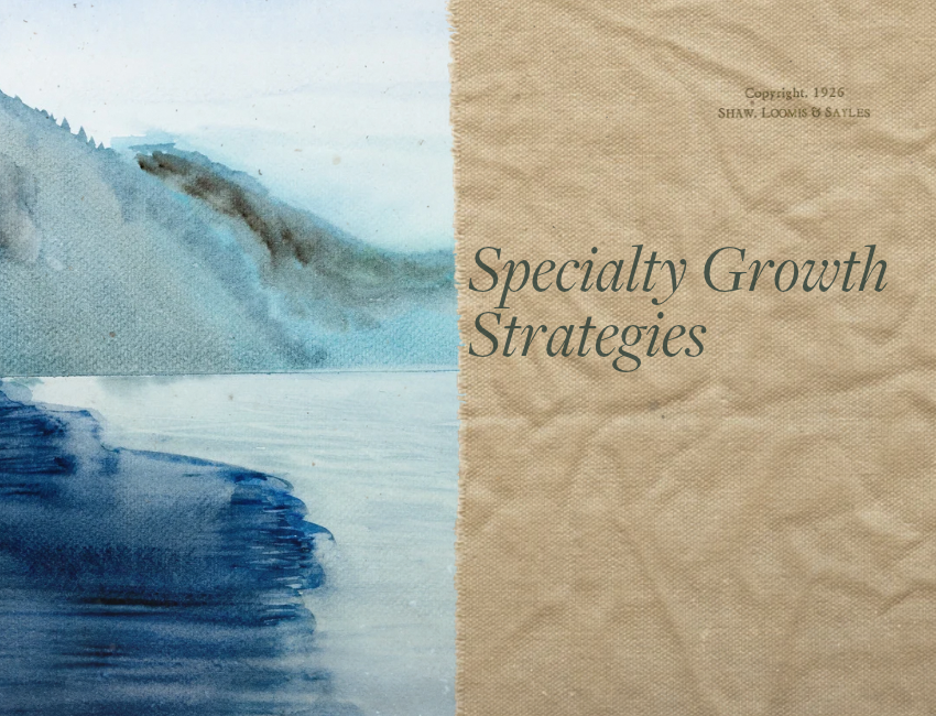 Built to Last: Two Decades of Disciplined Growth Investing